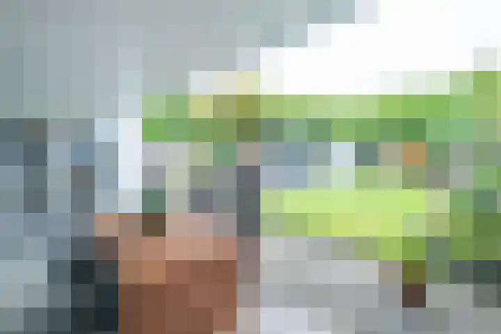 Corneliushof 22 Susteren thumbnail 37