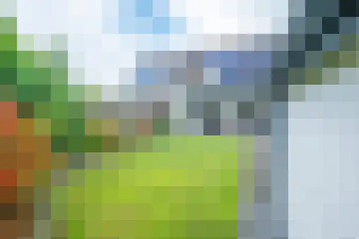 Corneliushof 22 Susteren thumbnail 41