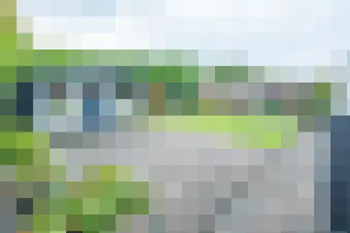 Corneliushof 22 Susteren thumbnail 43