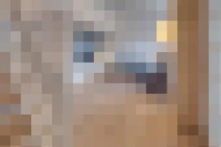 Corneliushof 22 Susteren thumbnail 9