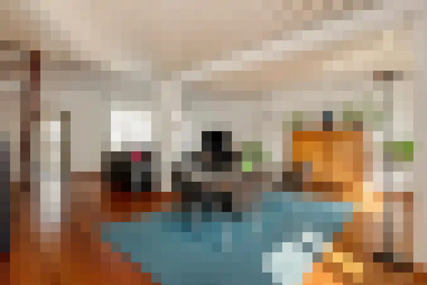 Corneliushof 29 Susteren thumbnail 13