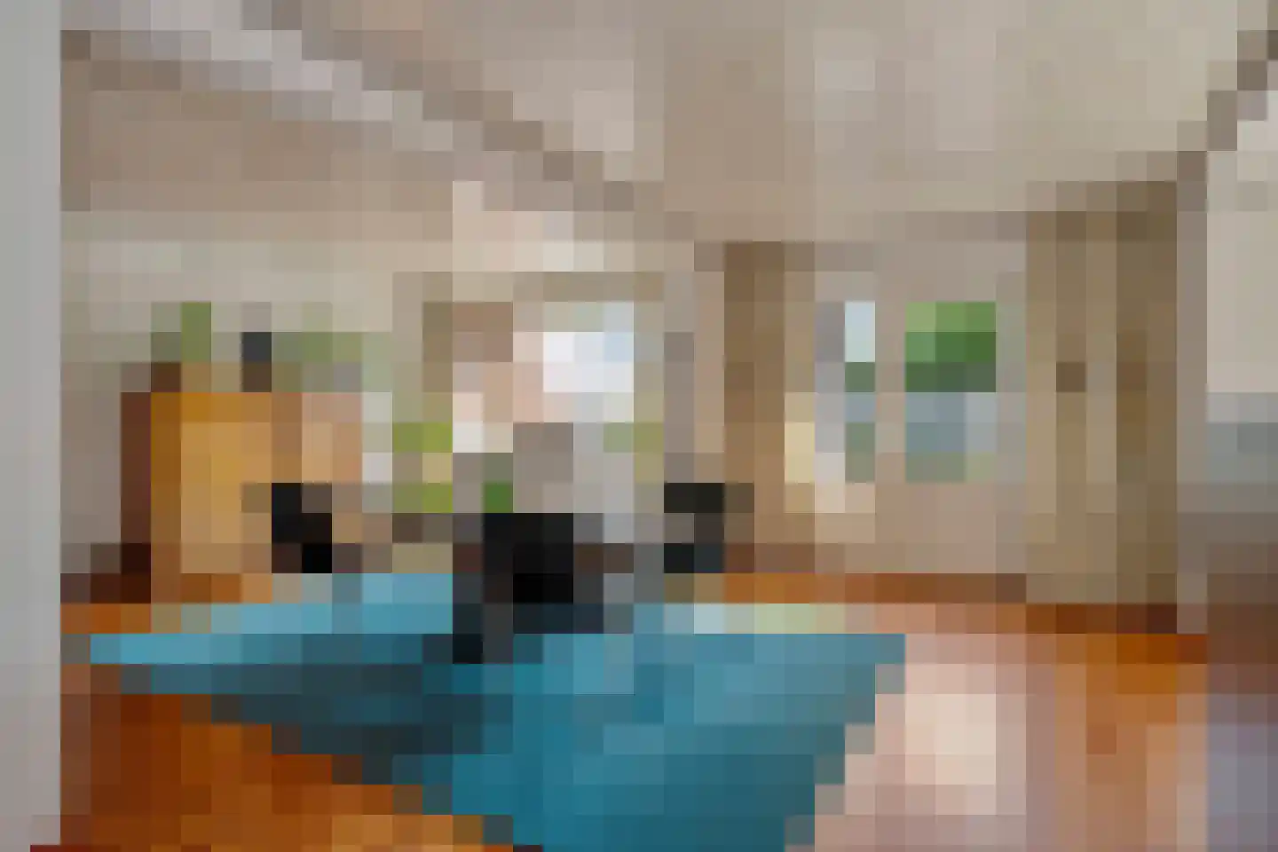 Corneliushof 29 Susteren thumbnail 14