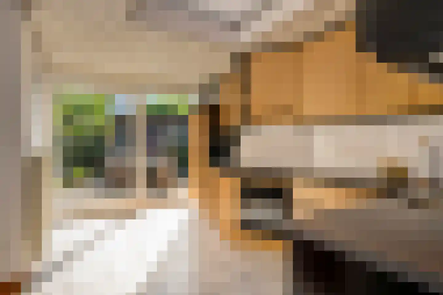Corneliushof 29 Susteren thumbnail 16