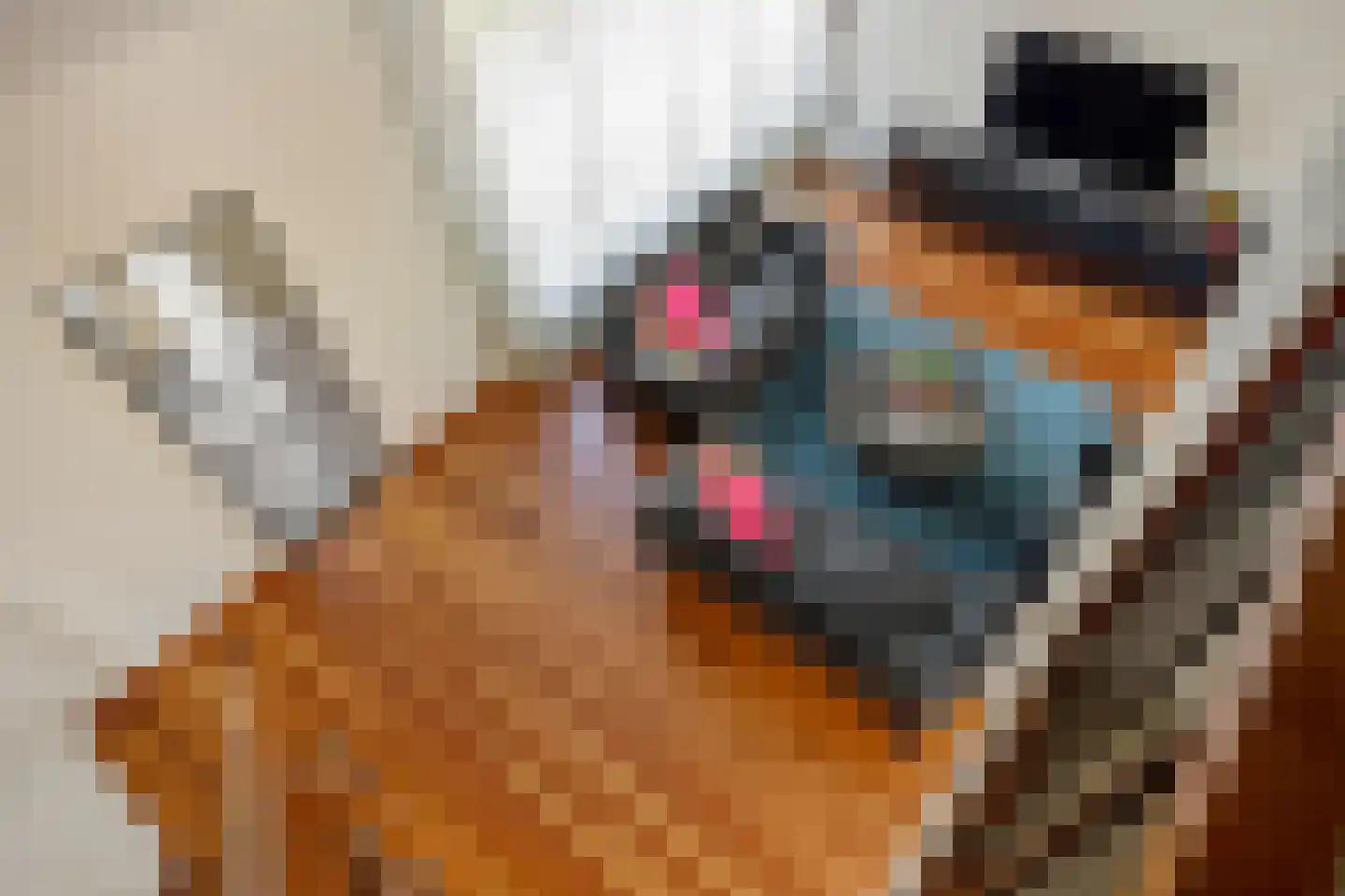 Corneliushof 29 Susteren thumbnail 21