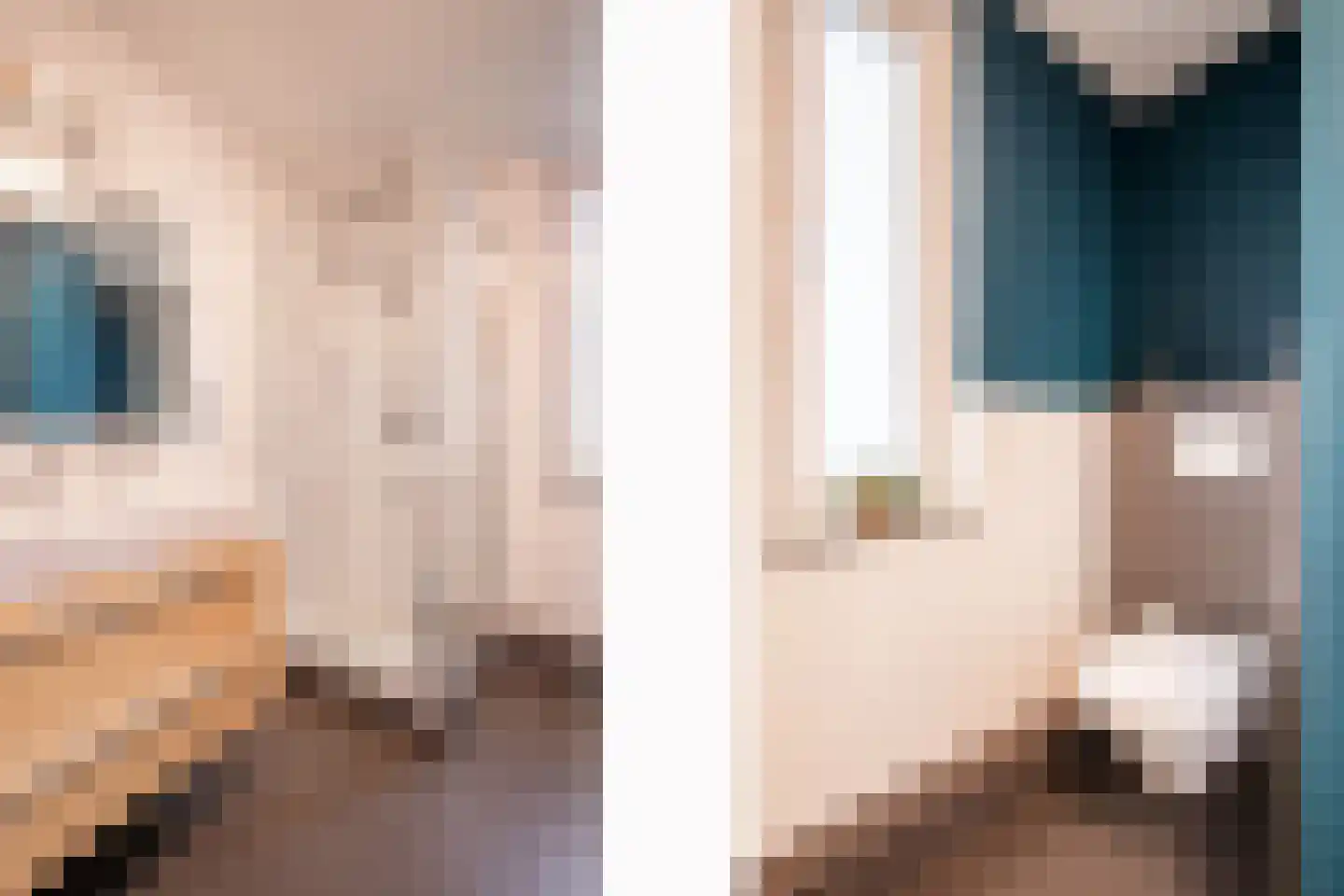 Corneliushof 54 Susteren thumbnail 19