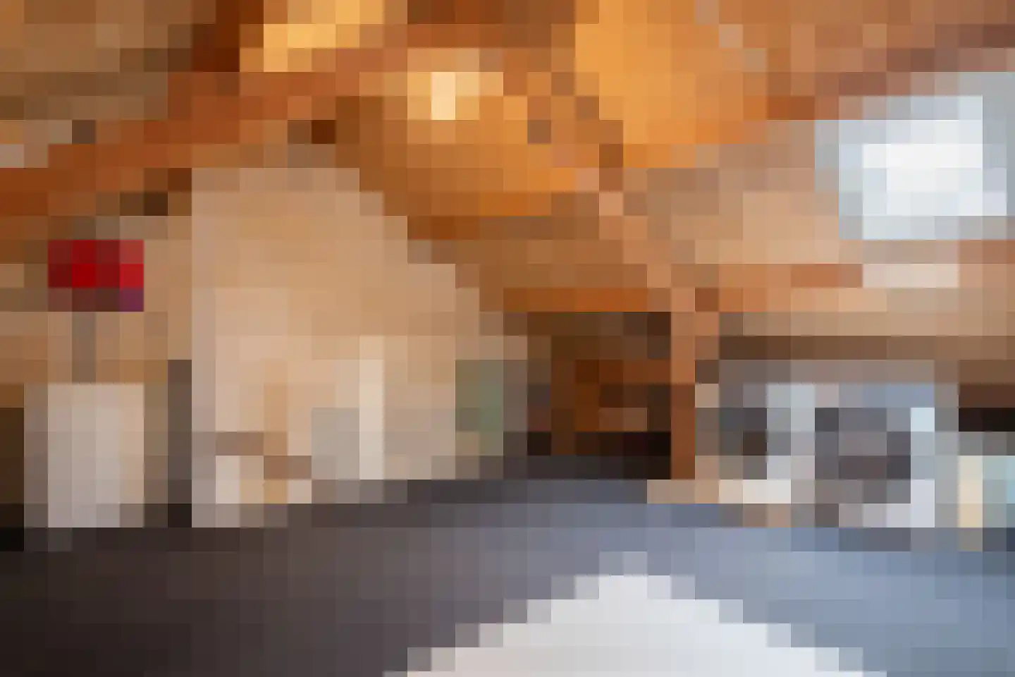 Corneliushof 54 Susteren thumbnail 20