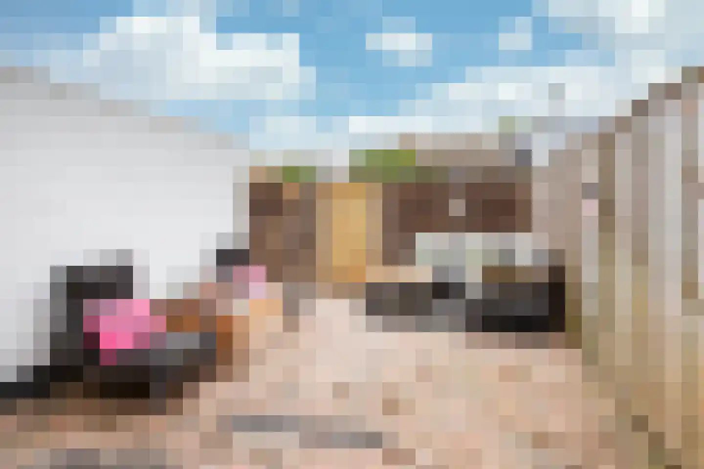 Corneliushof 54 Susteren thumbnail 21