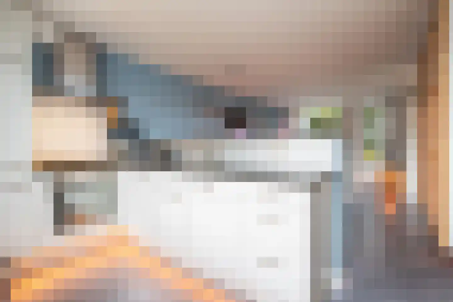 Corneliushof 54 Susteren thumbnail 4