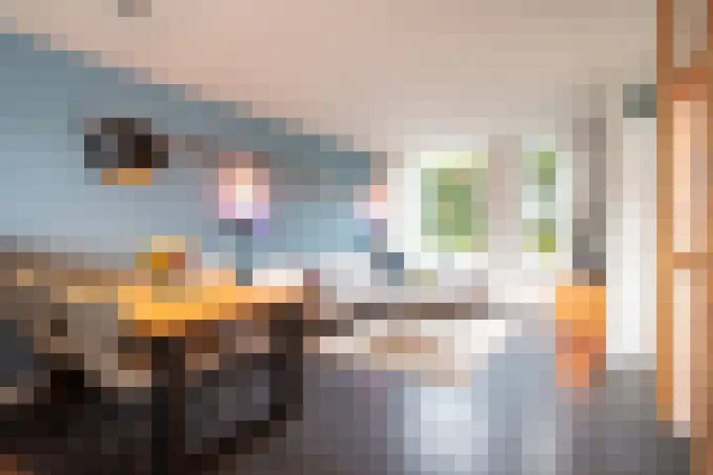 Corneliushof 54 Susteren thumbnail 6