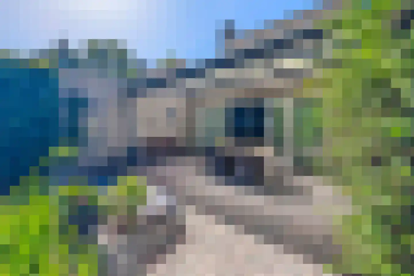 Cornelstraat 4 Tilburg thumbnail 37