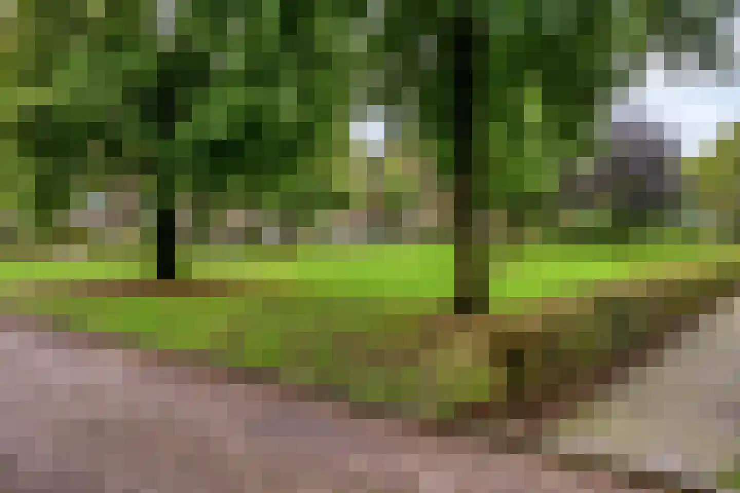 Cornelstraat 4 Tilburg thumbnail 56