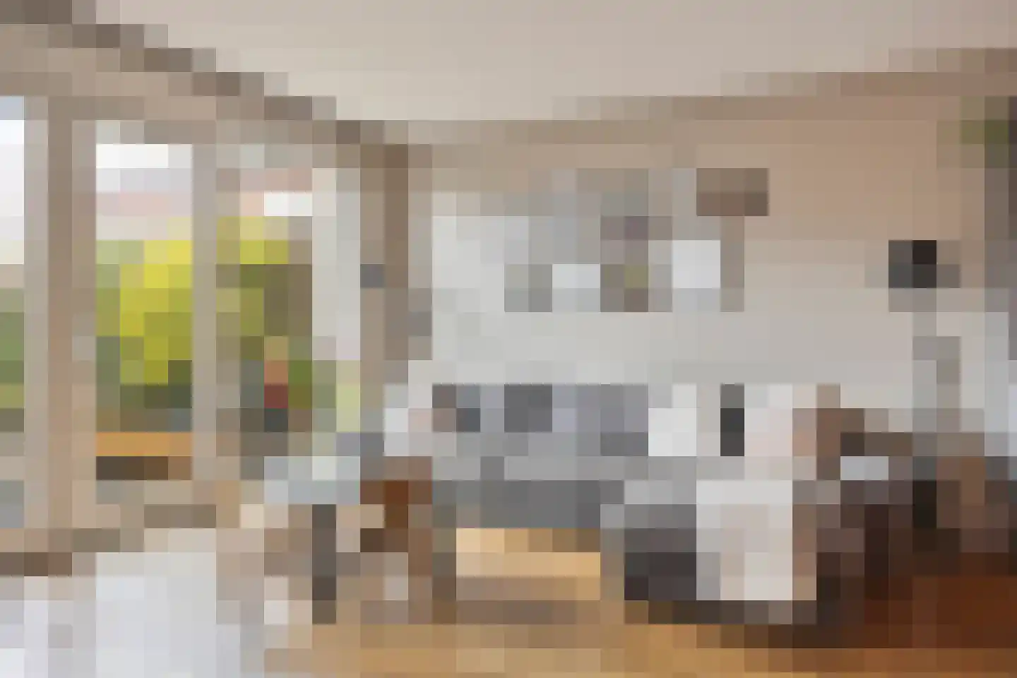 Cornetkade 10 Leiden thumbnail 14