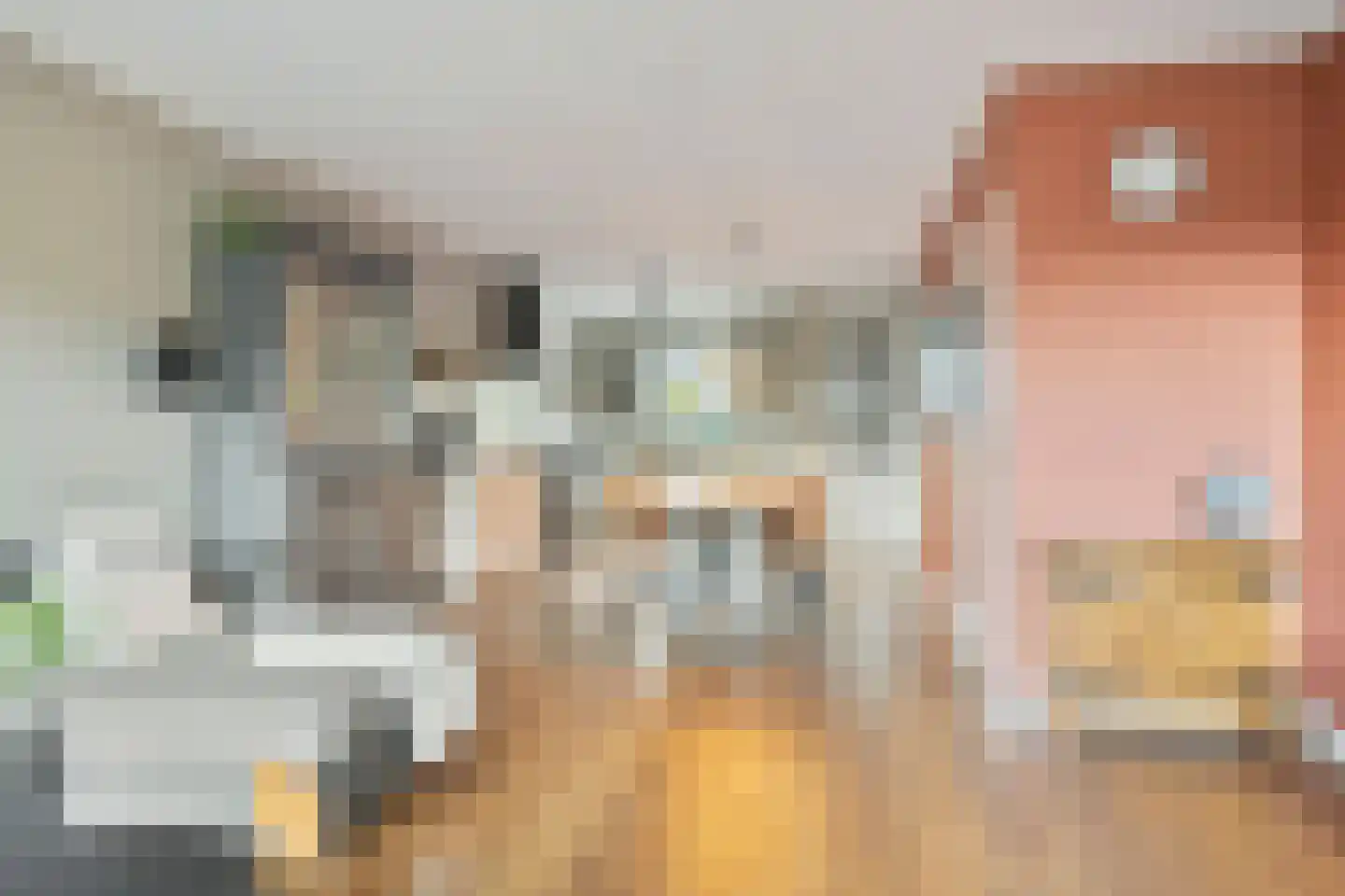 Cornetkade 10 Leiden thumbnail 15
