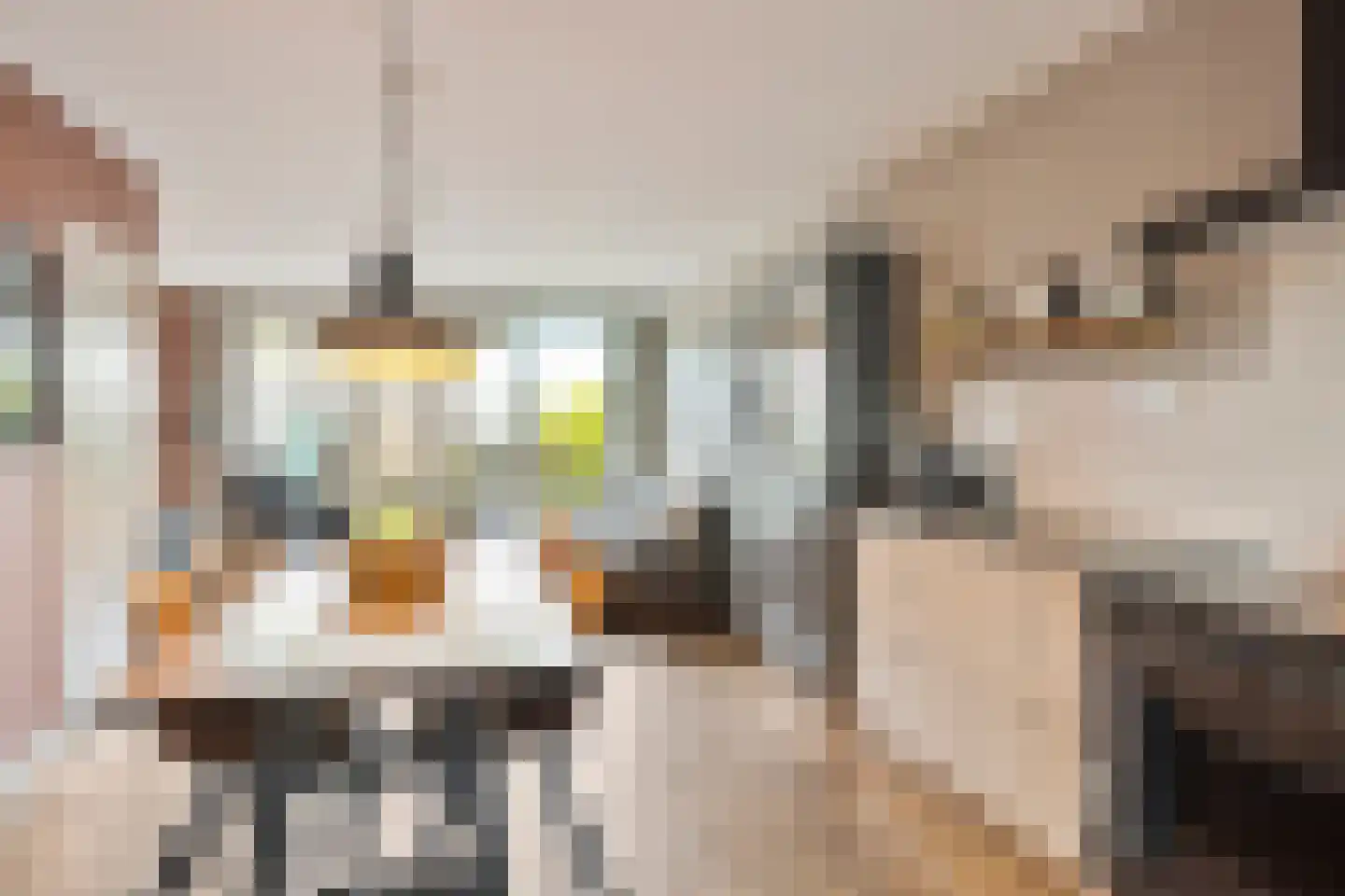 Cornetkade 10 Leiden thumbnail 19