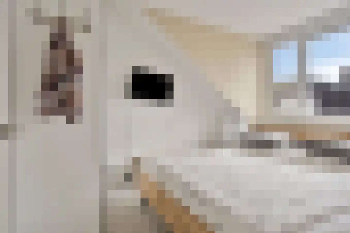Cornetkade 10 Leiden thumbnail 31