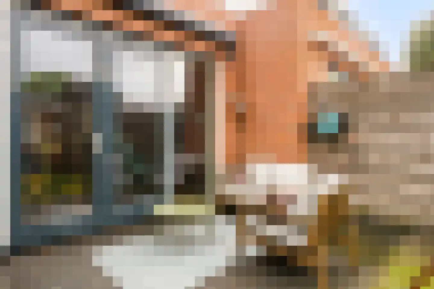 Cornetkade 10 Leiden thumbnail 36