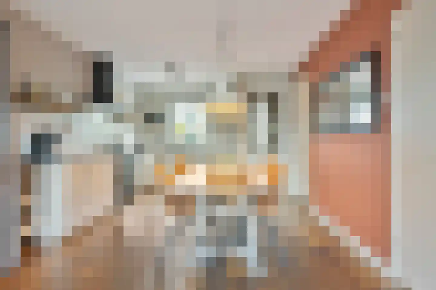 Cornetkade 10 Leiden thumbnail 4