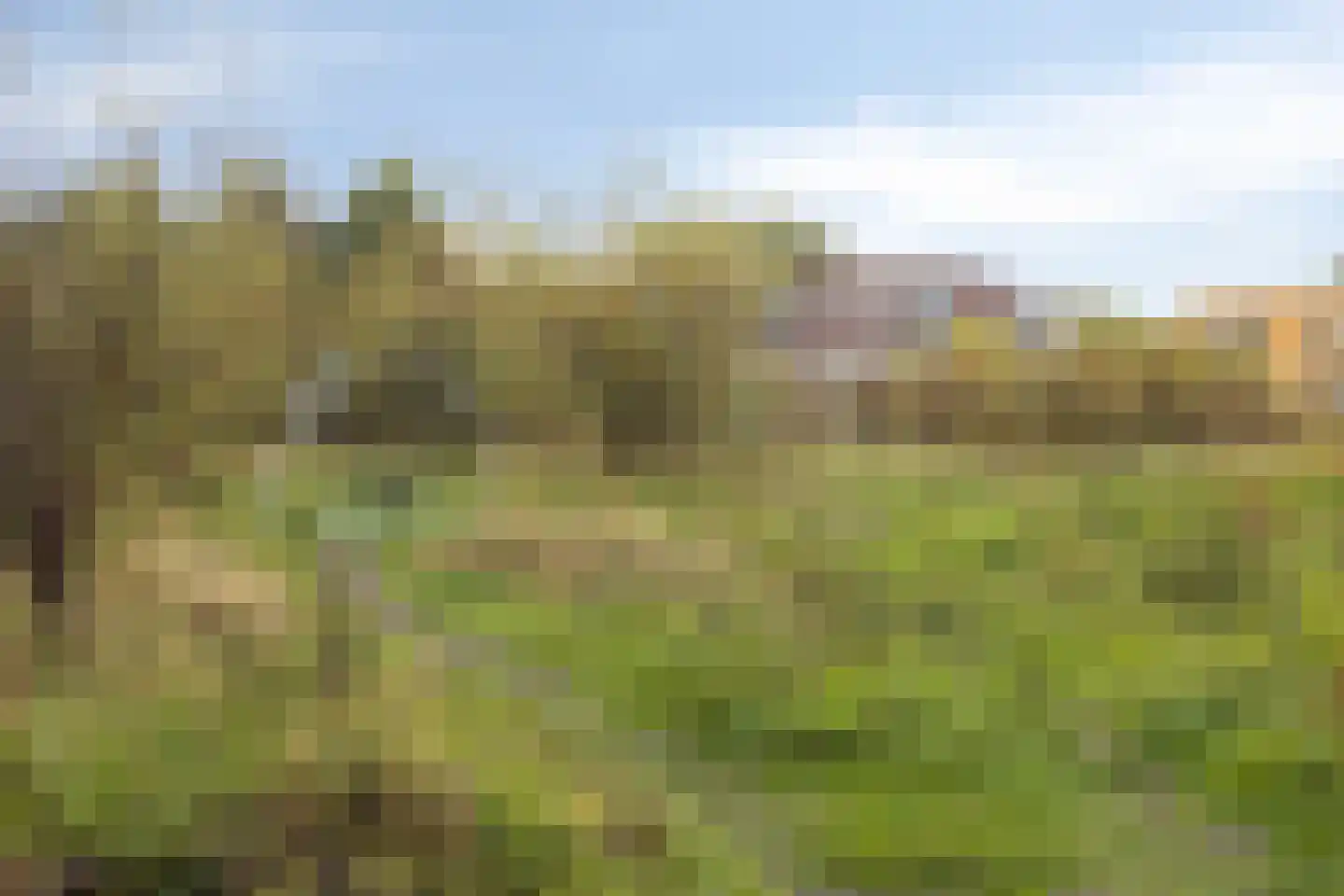 Cornetkade 10 Leiden thumbnail 40
