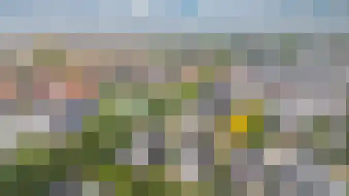 Cornetstraat 26 Duiven thumbnail 5