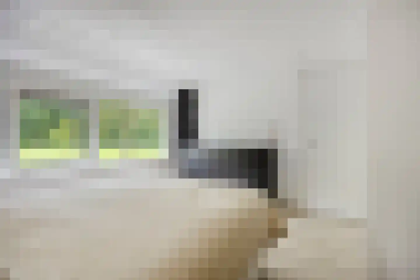 Cornusplantsoen 31 Heerhugowaard thumbnail 19