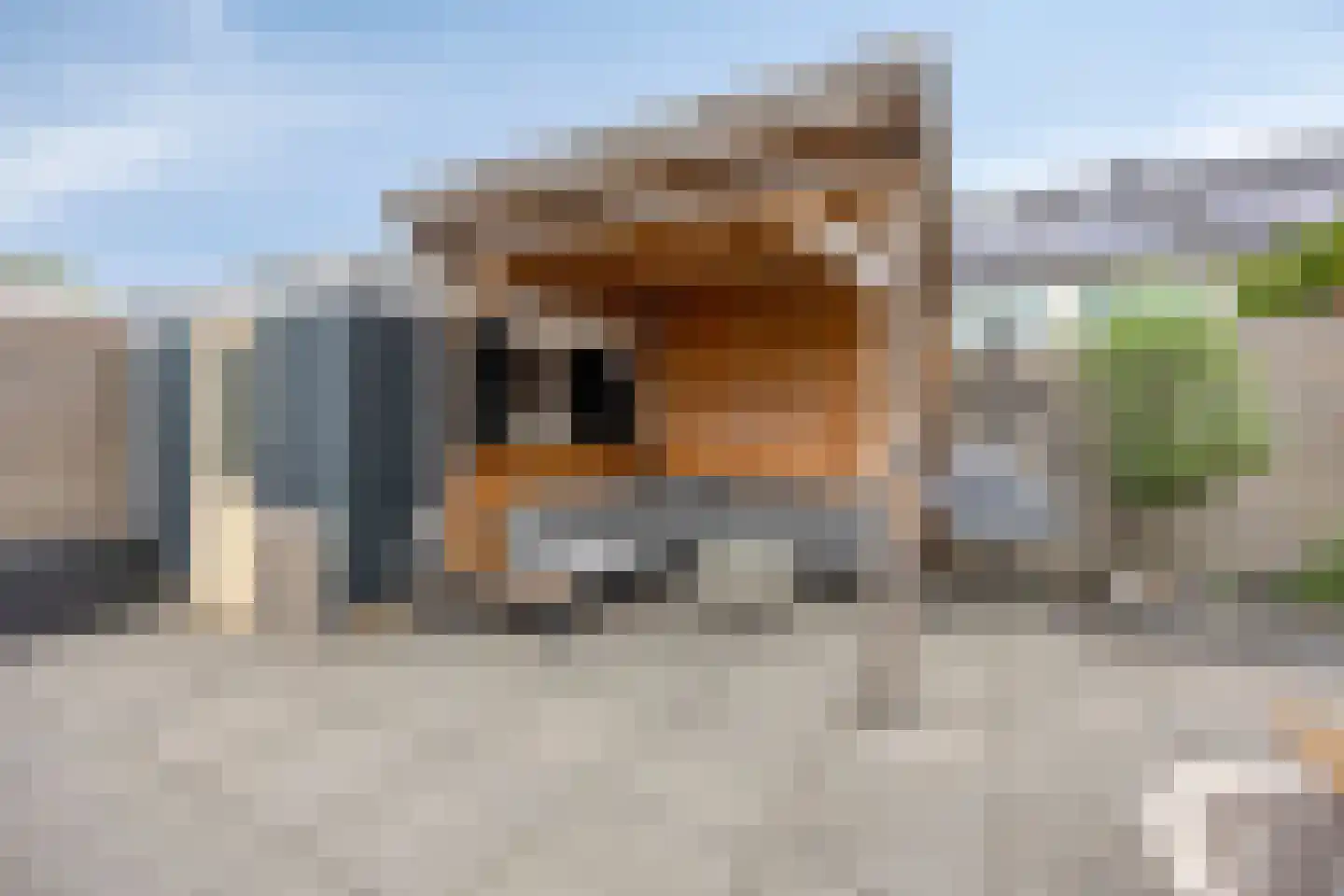 Cornusplantsoen 31 Heerhugowaard thumbnail 30