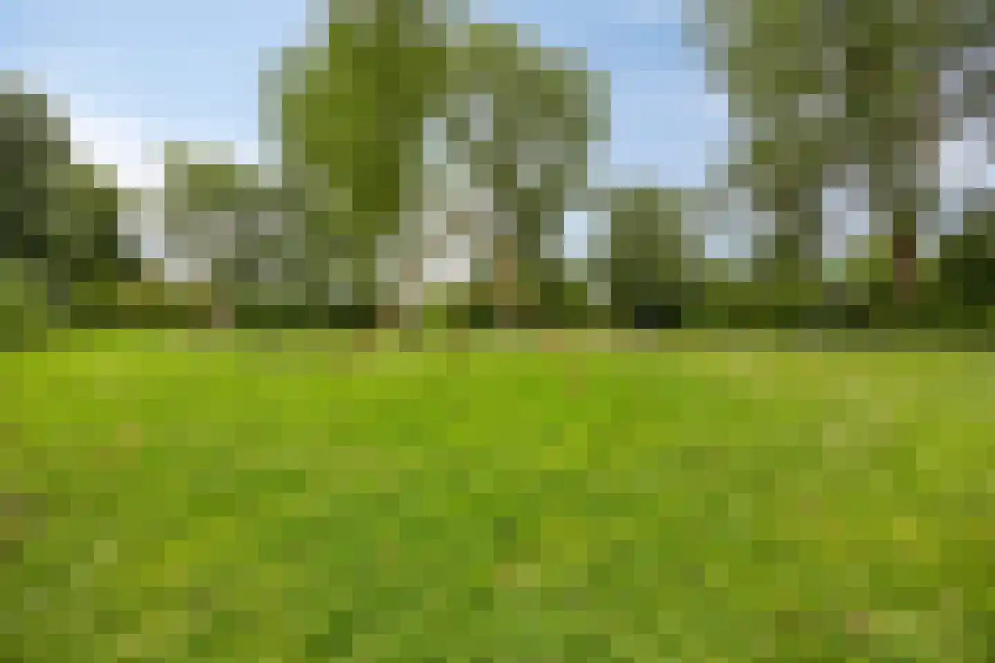 Cornusplantsoen 31 Heerhugowaard thumbnail 34