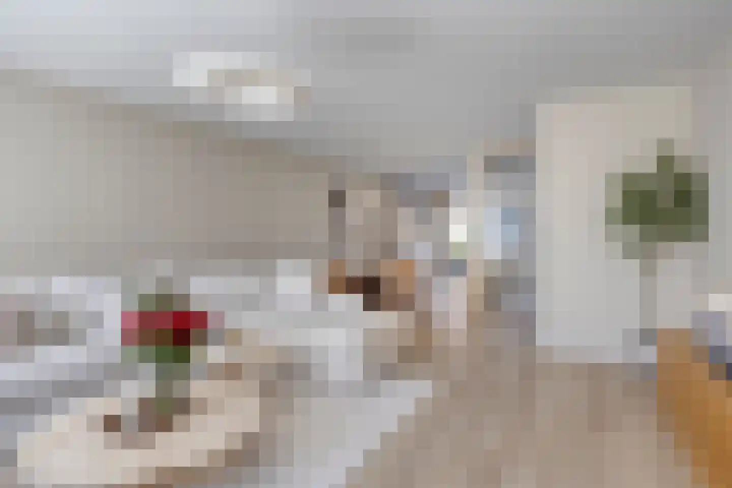 Cornwallhof 42 Purmerend thumbnail 15