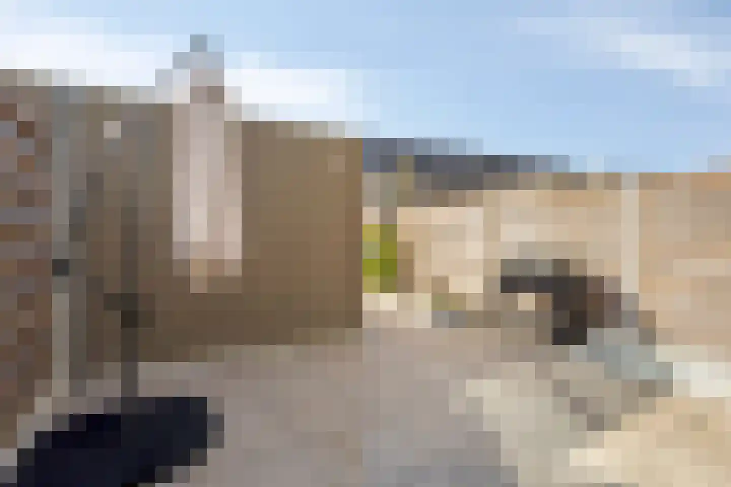 Cornwallhof 42 Purmerend thumbnail 45