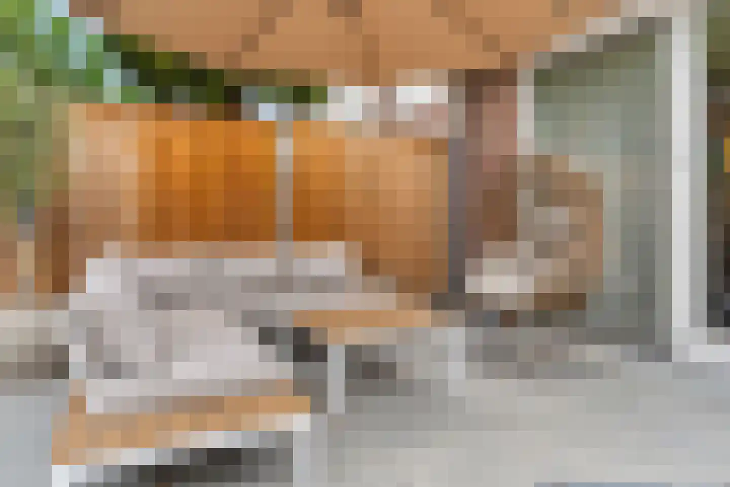 Coromandelstraat 25 Tilburg thumbnail 37