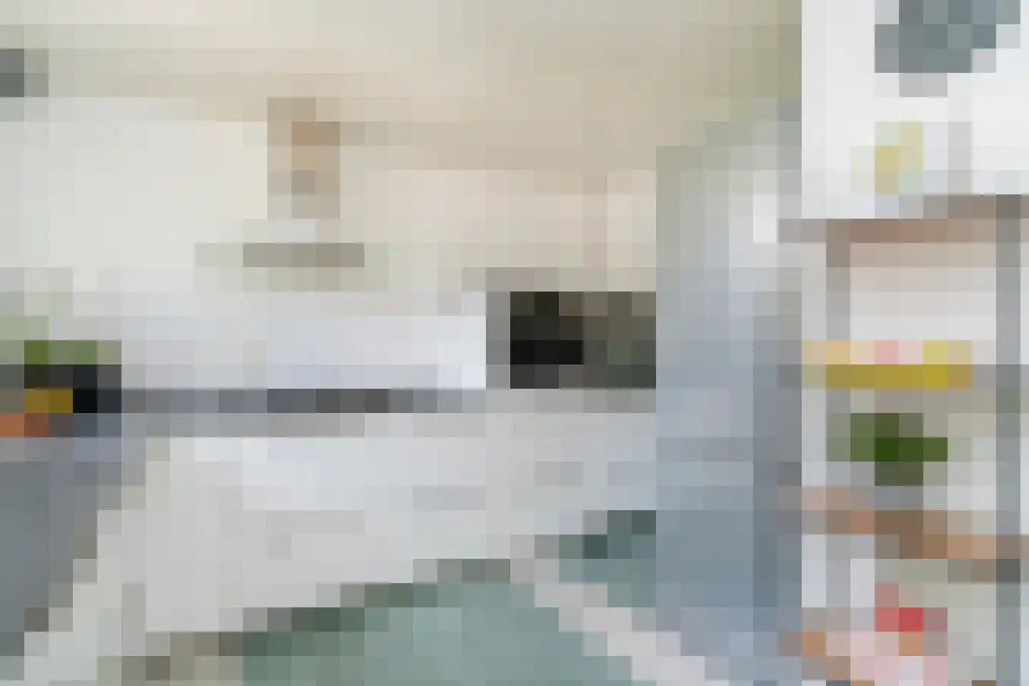 Coromandelstraat 27 Tilburg thumbnail 13