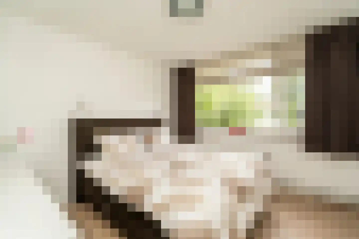 Coromandelstraat 27 Tilburg thumbnail 22