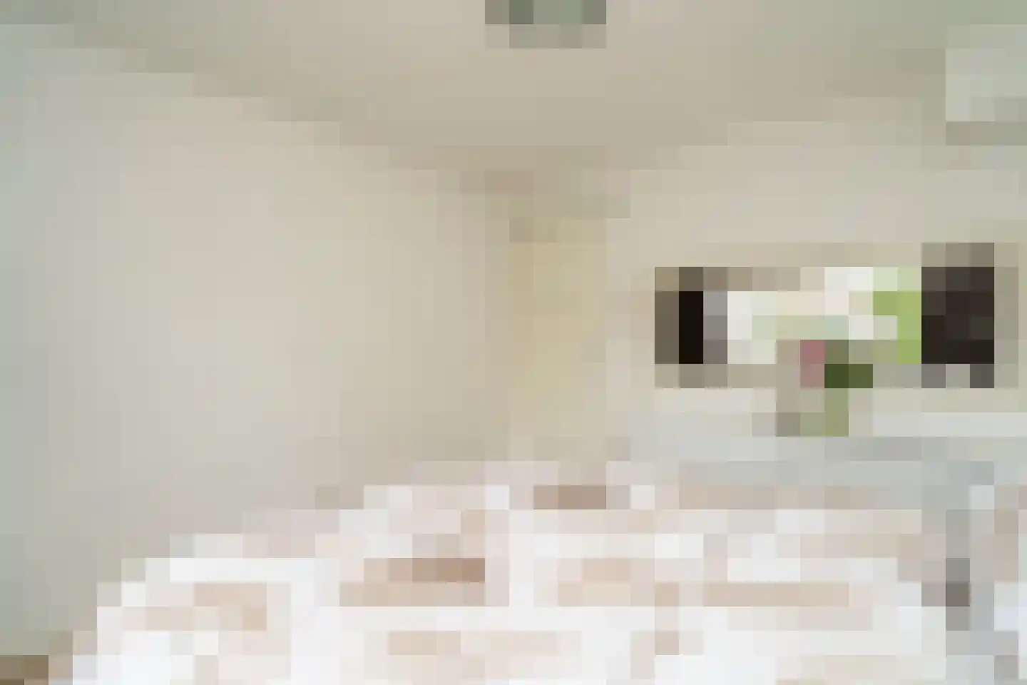 Coromandelstraat 27 Tilburg thumbnail 23