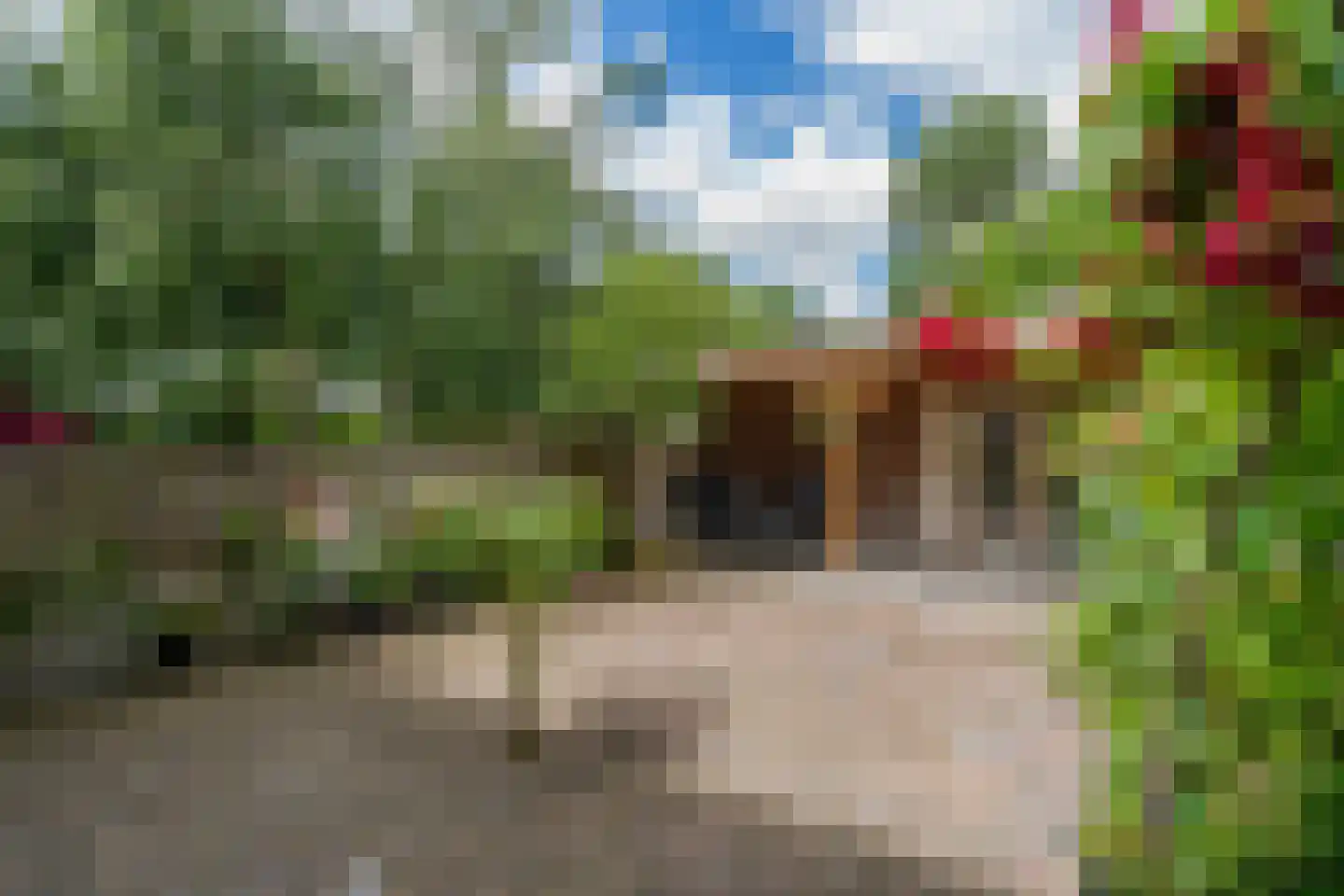 Coromandelstraat 27 Tilburg thumbnail 30