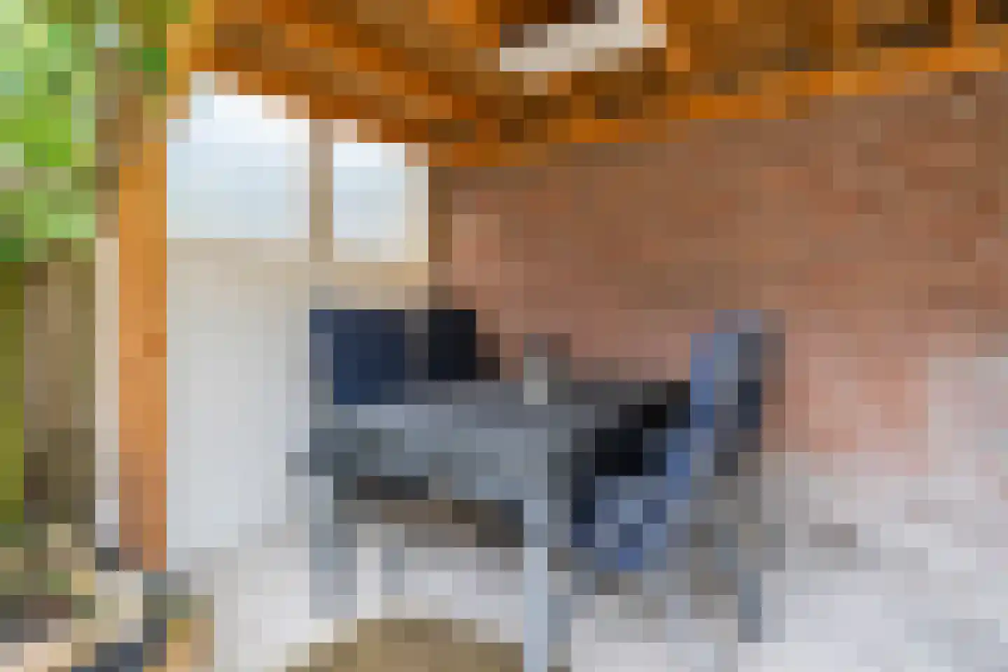 Coromandelstraat 27 Tilburg thumbnail 33