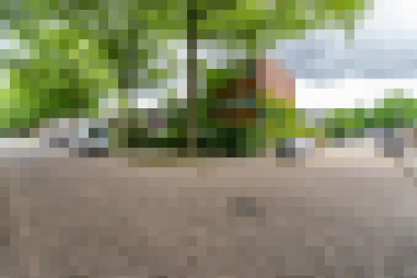 Coromandelstraat 27 Tilburg thumbnail 34
