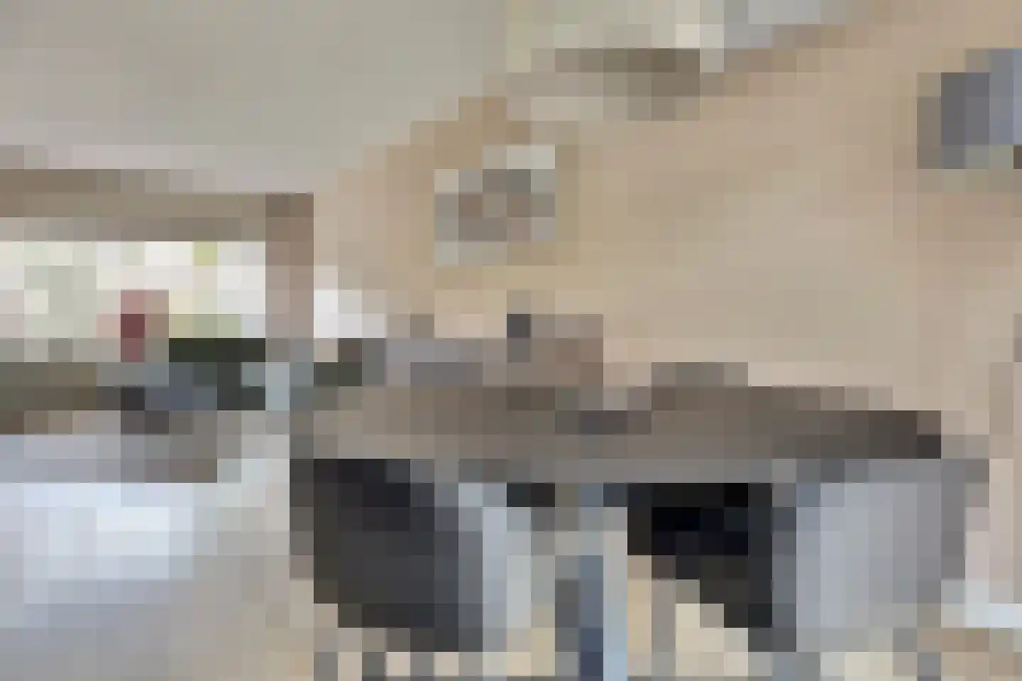 Corona 14 Spijkenisse thumbnail 10