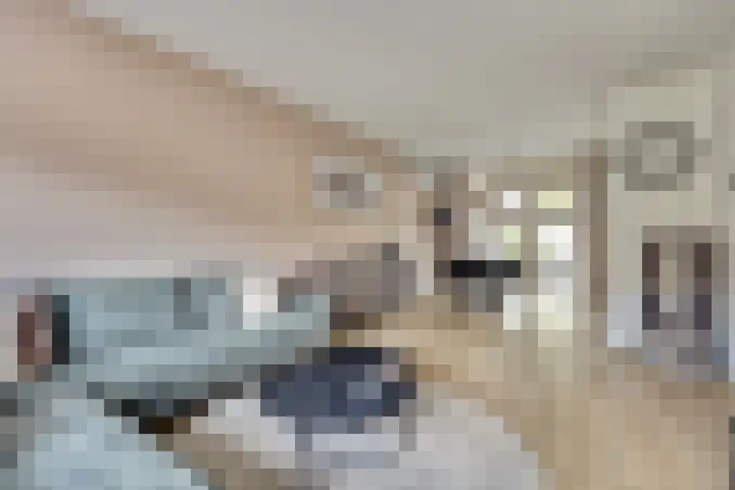 Corona 14 Spijkenisse thumbnail 11