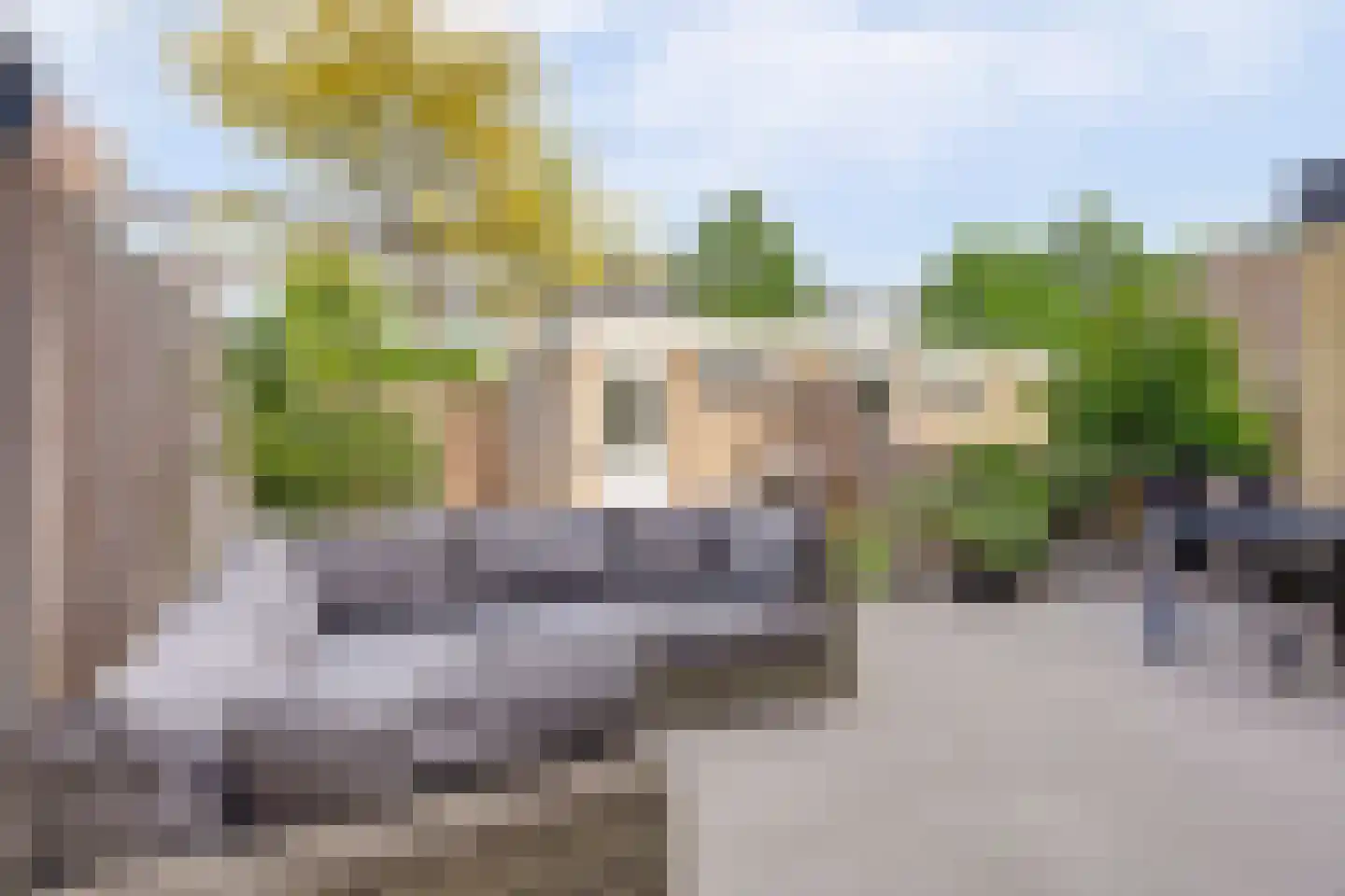 Corona 14 Spijkenisse thumbnail 19