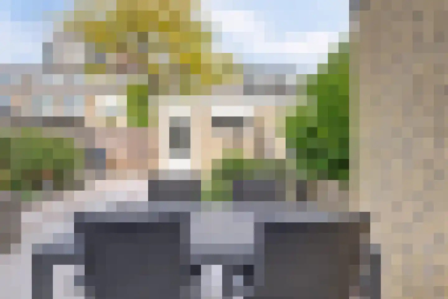 Corona 14 Spijkenisse thumbnail 20