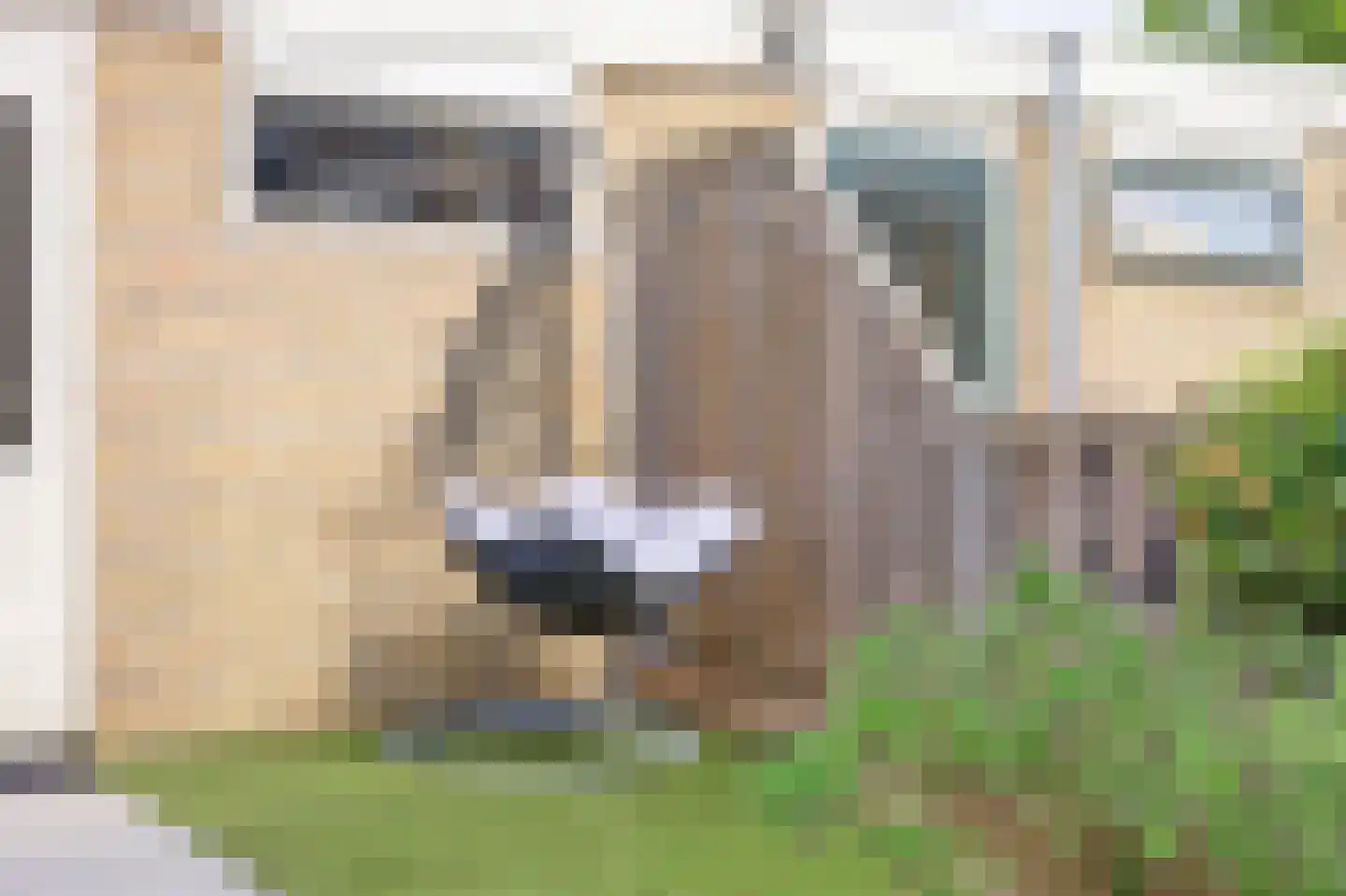 Corona 14 Spijkenisse thumbnail 22