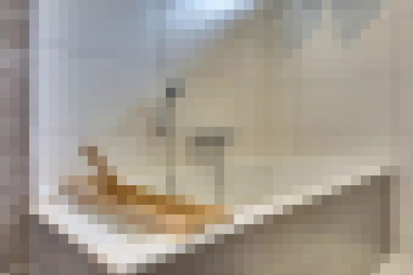 Corona 14 Spijkenisse thumbnail 26