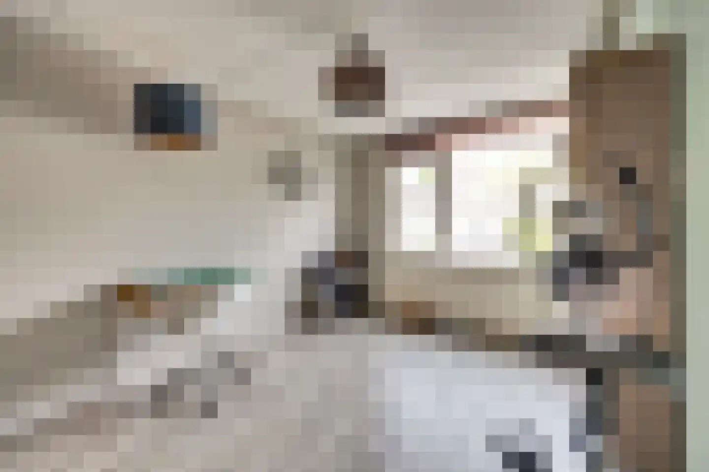 Corona 14 Spijkenisse thumbnail 31
