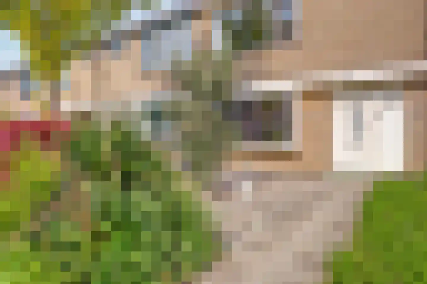 Corona 14 Spijkenisse thumbnail 39