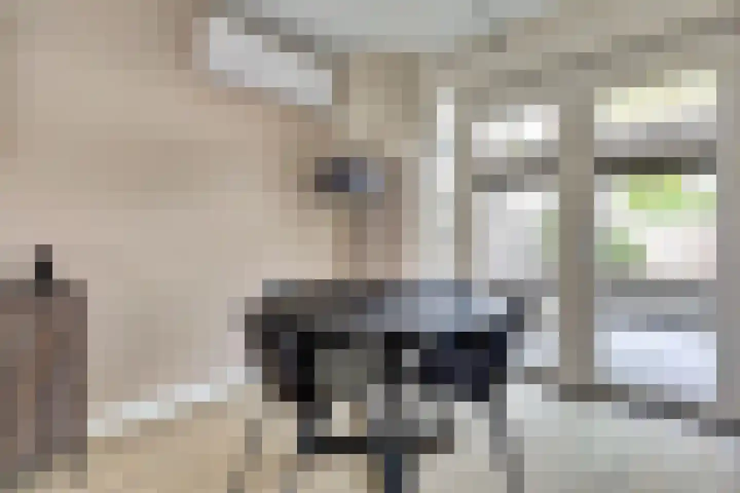 Corona 14 Spijkenisse thumbnail 9