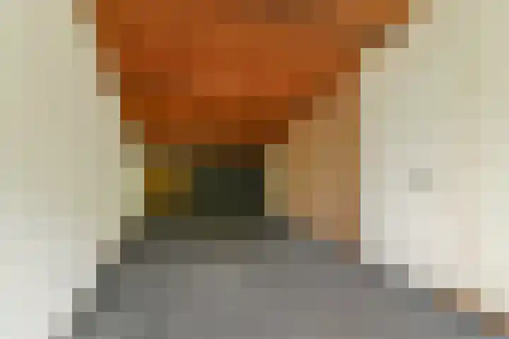 Coronaplein 16 Spijkenisse thumbnail 22