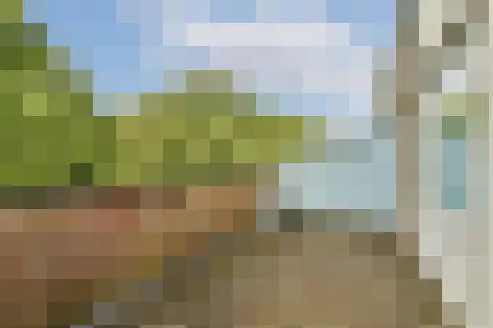 Coronaplein 16 Spijkenisse thumbnail 24