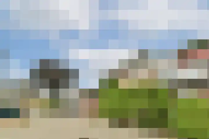 Coronaplein 16 Spijkenisse thumbnail 28