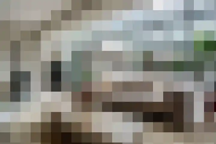 Coronastraat 10 Groningen thumbnail 14