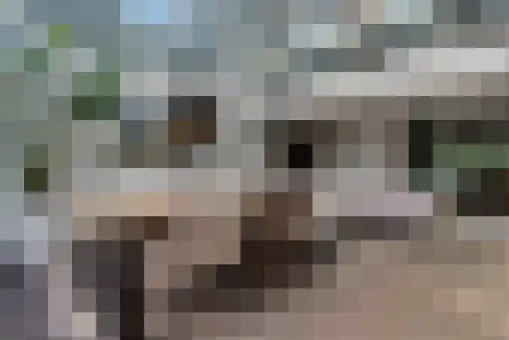 Coronastraat 10 Groningen thumbnail 23