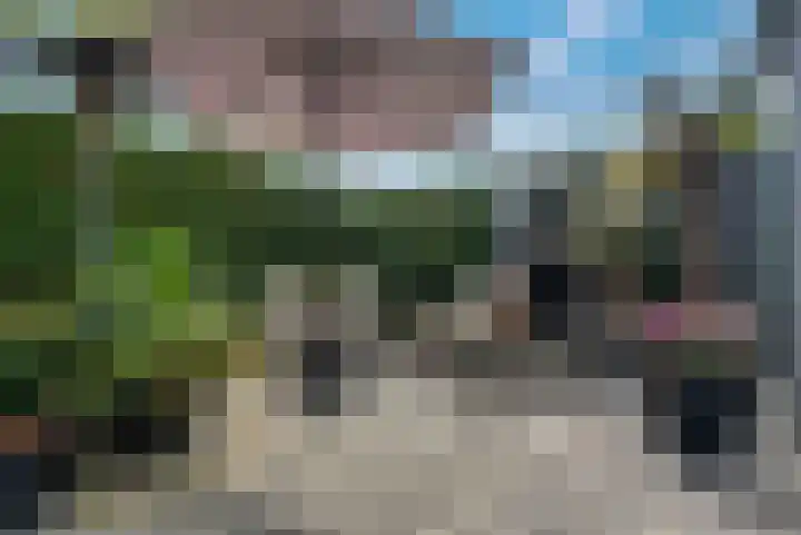 Coronastraat 10 Groningen thumbnail 24